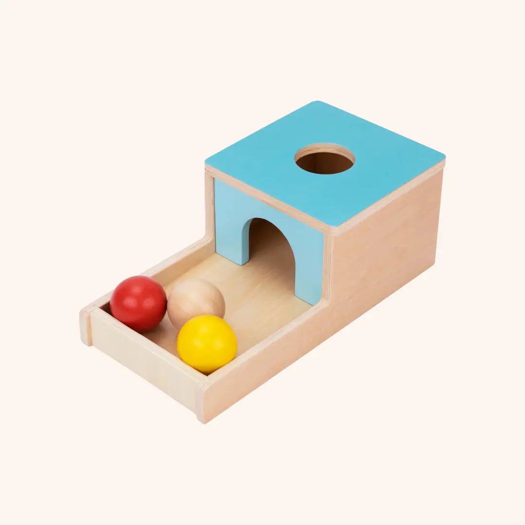 Montessori Toddlers Play Kit 7-12 months