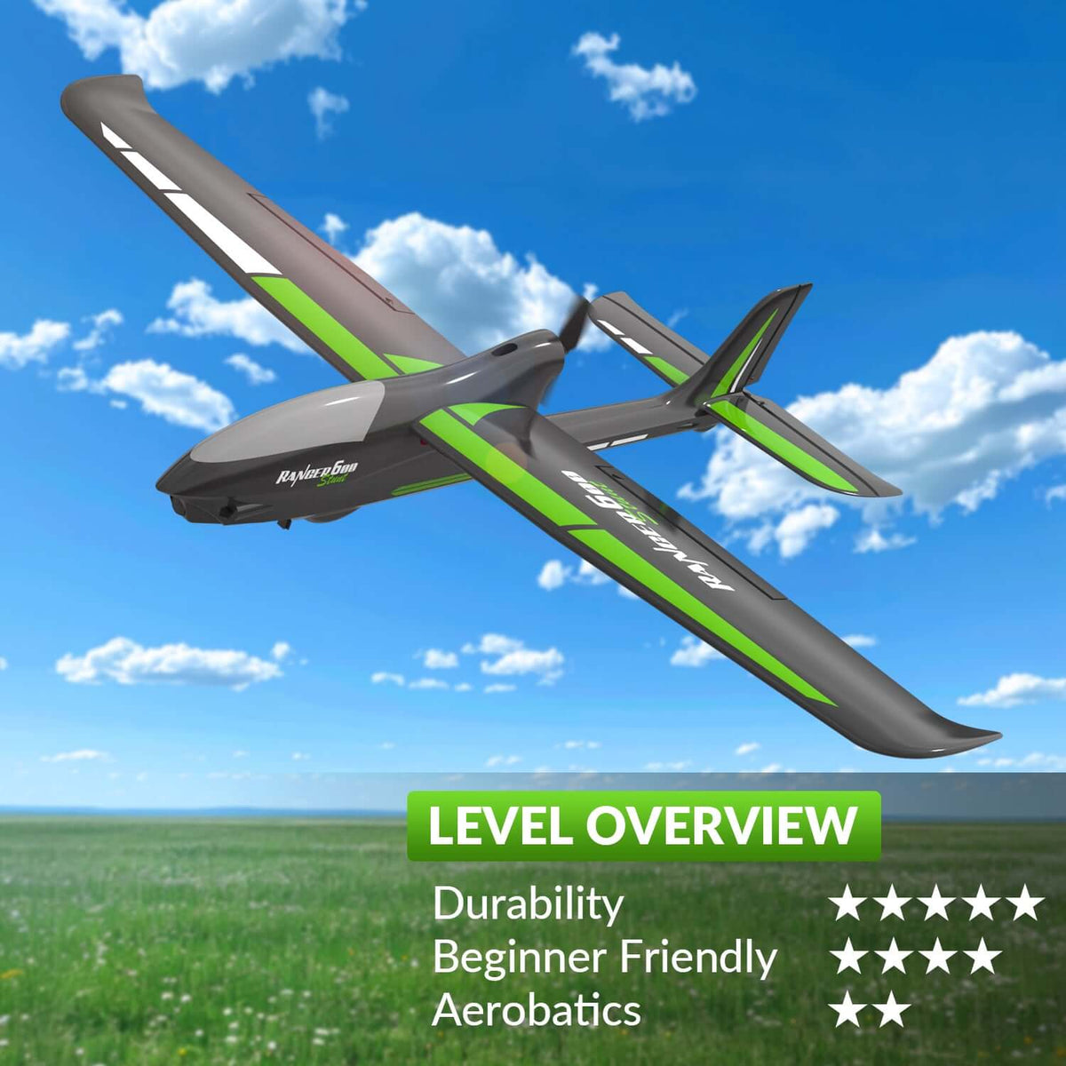 Ranger 600 RC Airplane - 4-Channel, 40 Min Flight, Dual Batteries, Beginner Friendly