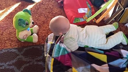 Baby Bear Song Learner