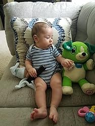 Baby Bear Song Learner