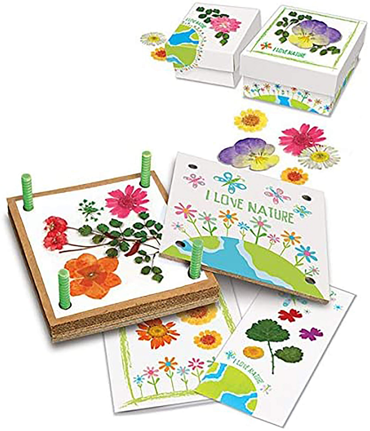 Creativity Pressed Flower Art DIY Kit