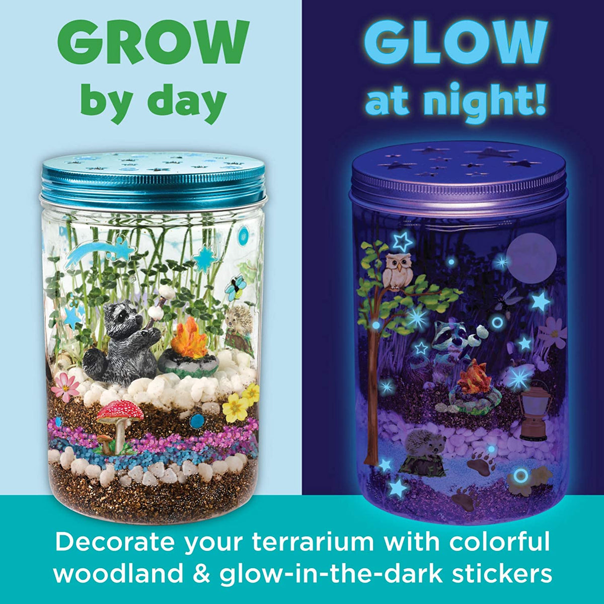 Luminous Magical Terrarium
