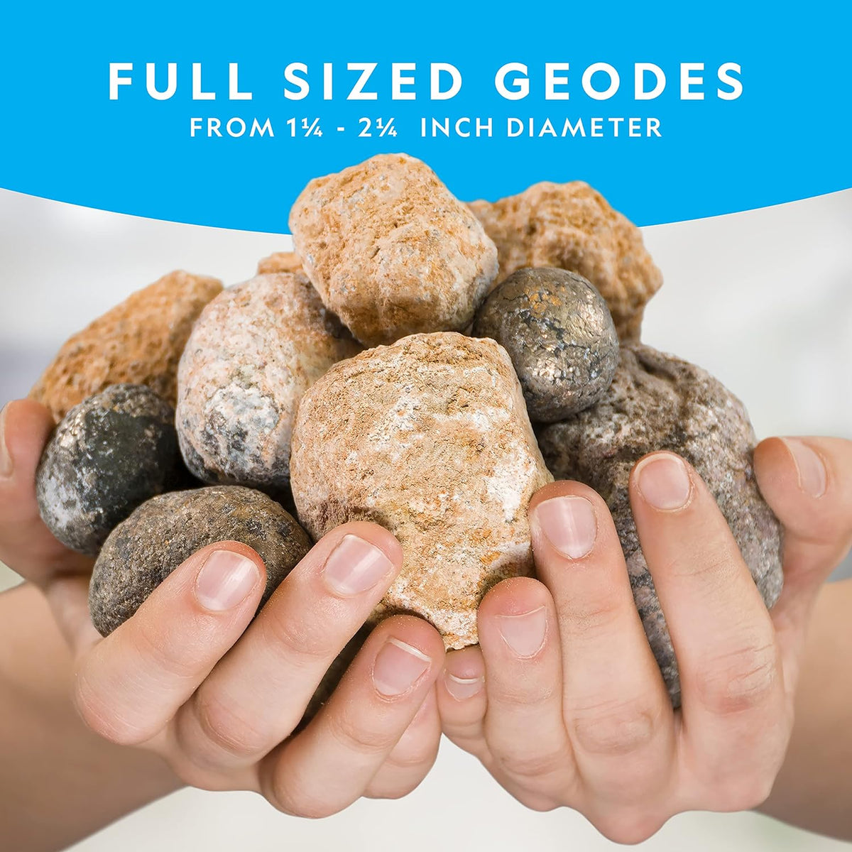 Geologist Treasure STEM Mine