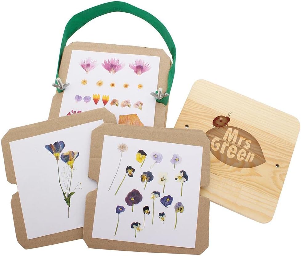 Creativity Pressed Flower Art DIY Kit